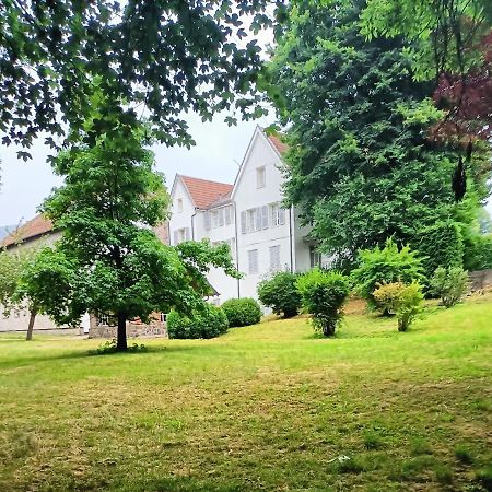 Domaine De La Moselle Bed and Breakfast Saint-Maurice-sur-Moselle Eksteriør billede