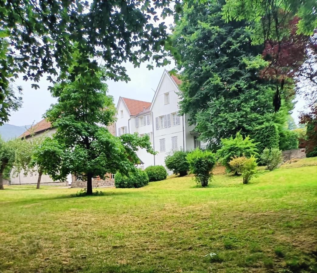 Domaine De La Moselle Bed and Breakfast Saint-Maurice-sur-Moselle Eksteriør billede